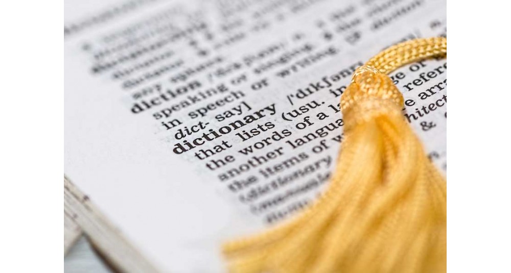 Bereicherung der Seite mit Textartikeln