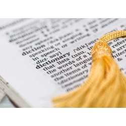 Bereicherung der Seite mit Textartikeln